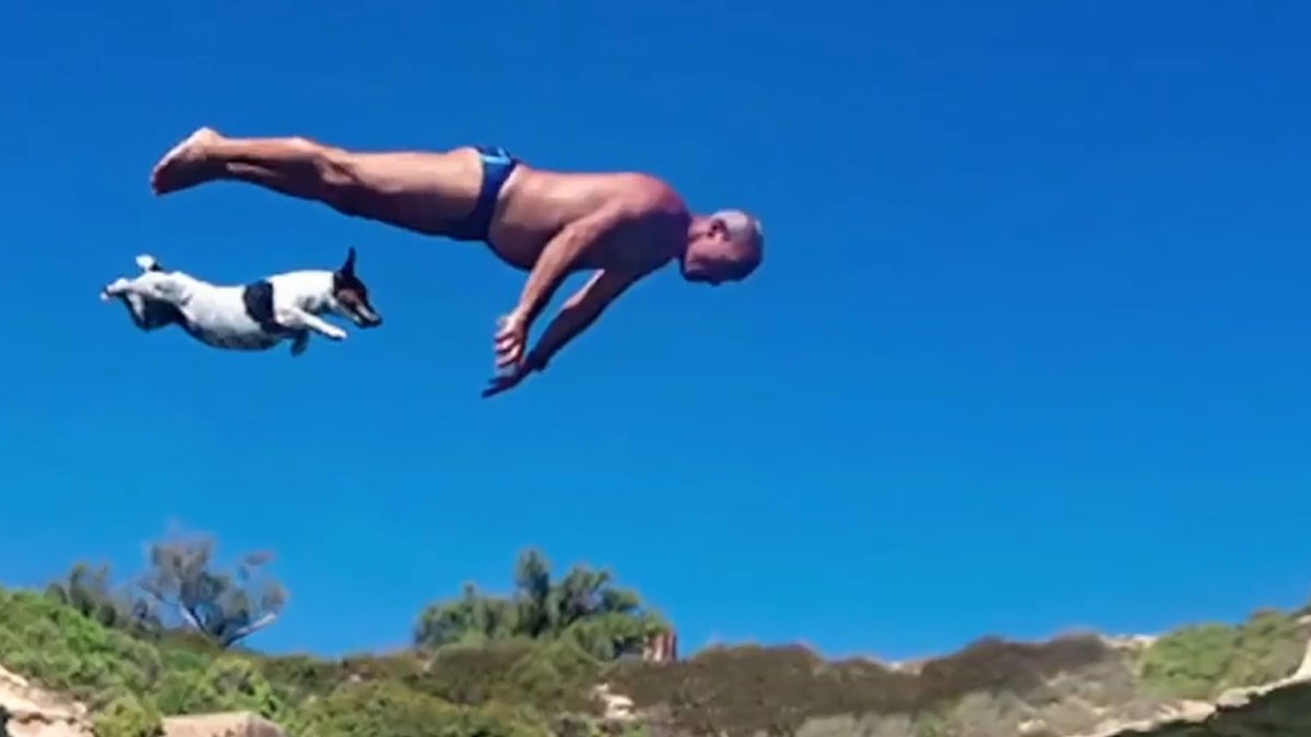 VIDEO Uginula je kujica koja je osvojila internet skakanjem s litice